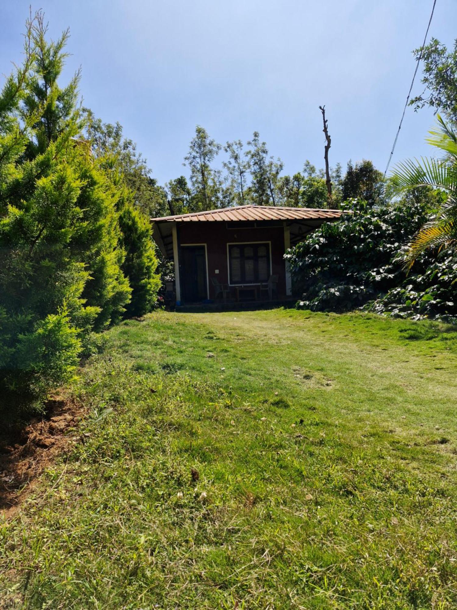 Athena Homestay Somvārpet Exteriér fotografie
