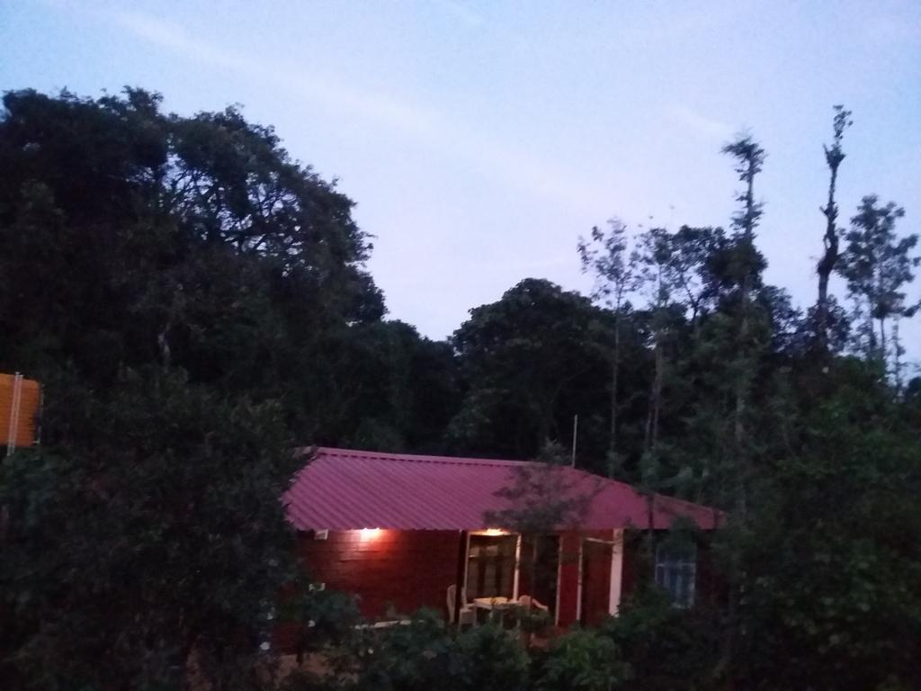 Athena Homestay Somvārpet Exteriér fotografie