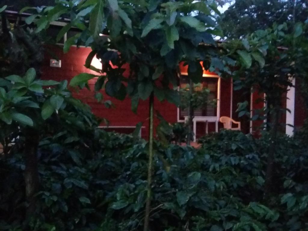 Athena Homestay Somvārpet Exteriér fotografie