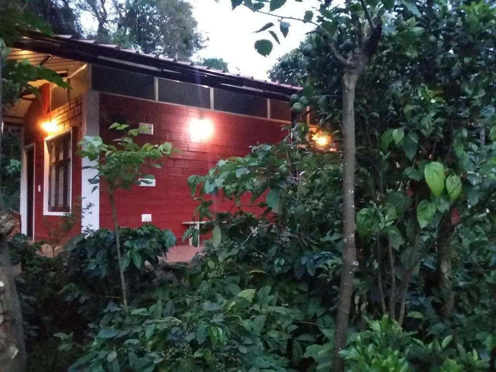 Athena Homestay Somvārpet Exteriér fotografie